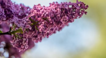 Real Estate Forecast: Improvement from May 2018!
