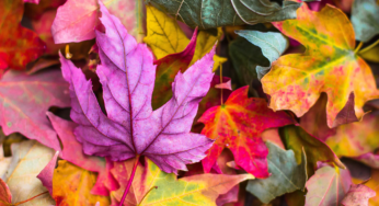 Calgary Real Estate Market Update: September Data