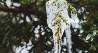 CREB Data: March 2020 (covid version)