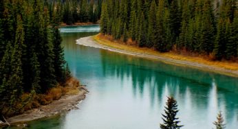 Market Update: June 2022 CREB Data