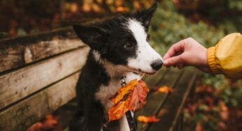 October Real Estate Update