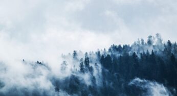 Market Update—Off Peak, But Positive!