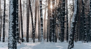 January Market Update And Value Equation